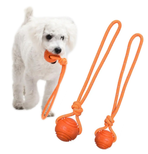 Bungee Ball Hundespielzeug